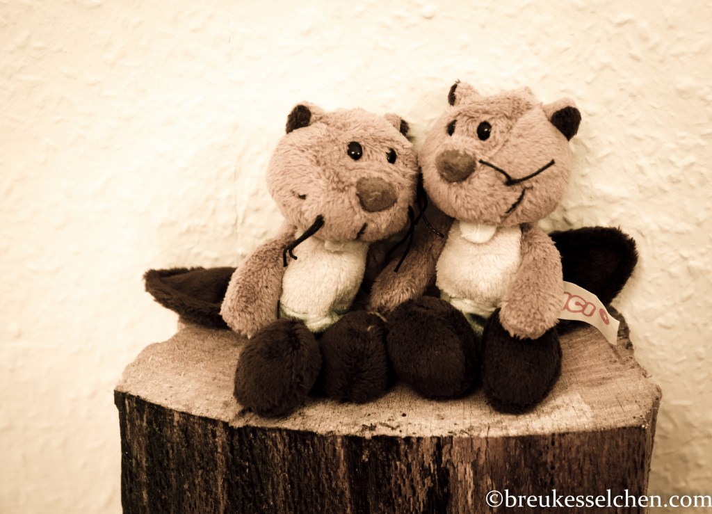 kleine Biber als Überwacher der Treppensituation