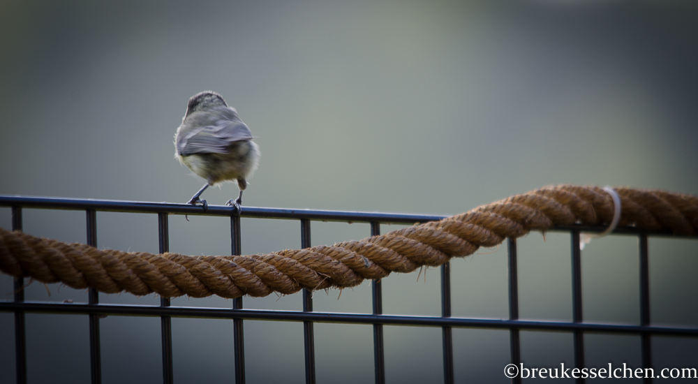 Sitzsack_Wintergarten_breukesselchen (46)