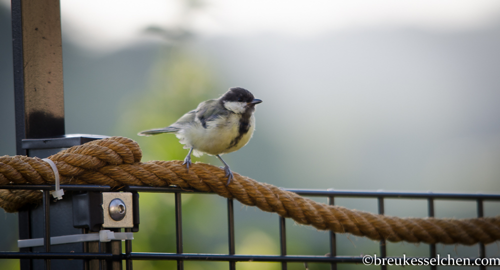 Sitzsack_Wintergarten_breukesselchen (50)