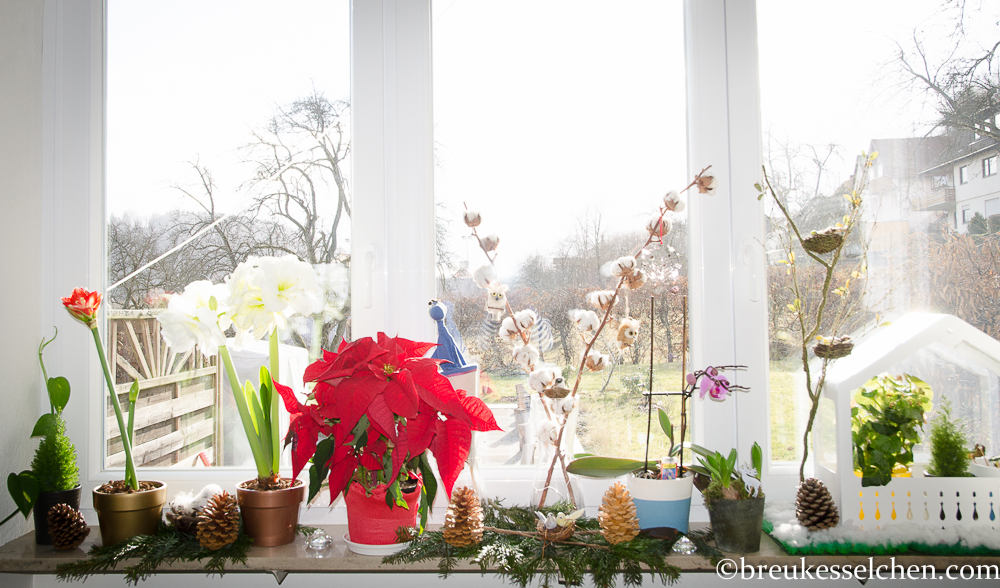 Petrolwand_ weihnachtliche Deko (23)