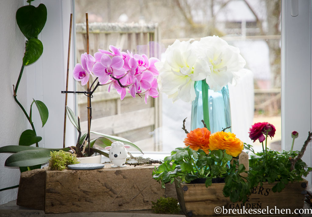 Flowerpowerfebruar_Germaninteriorblogger_Blumen_Lächeln (13)