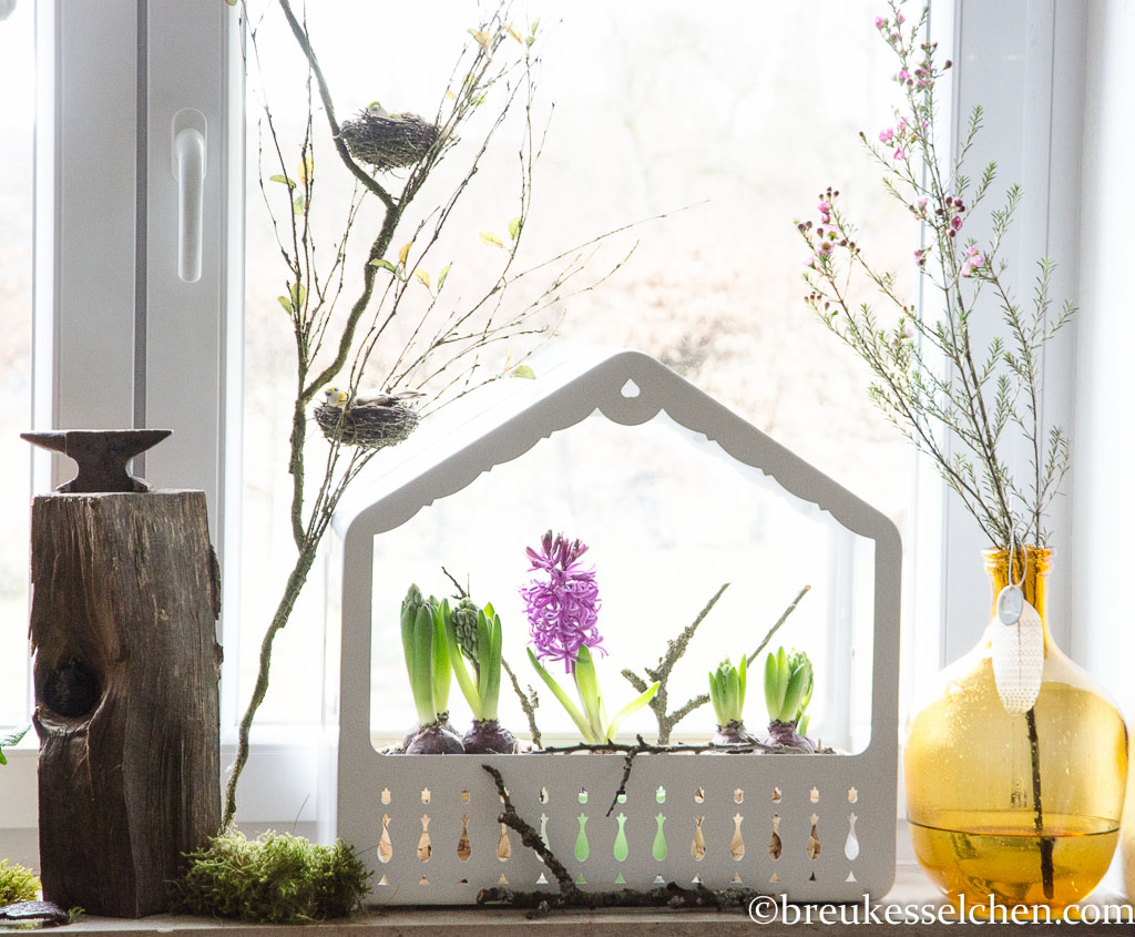 Flowerpowerfebruar_Germaninteriorblogger_Blumen_Lächeln (17)