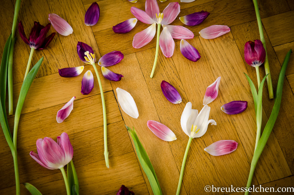 Flowerpowerfebruar_Germaninteriorblogger_Blumen_Lächeln (3)