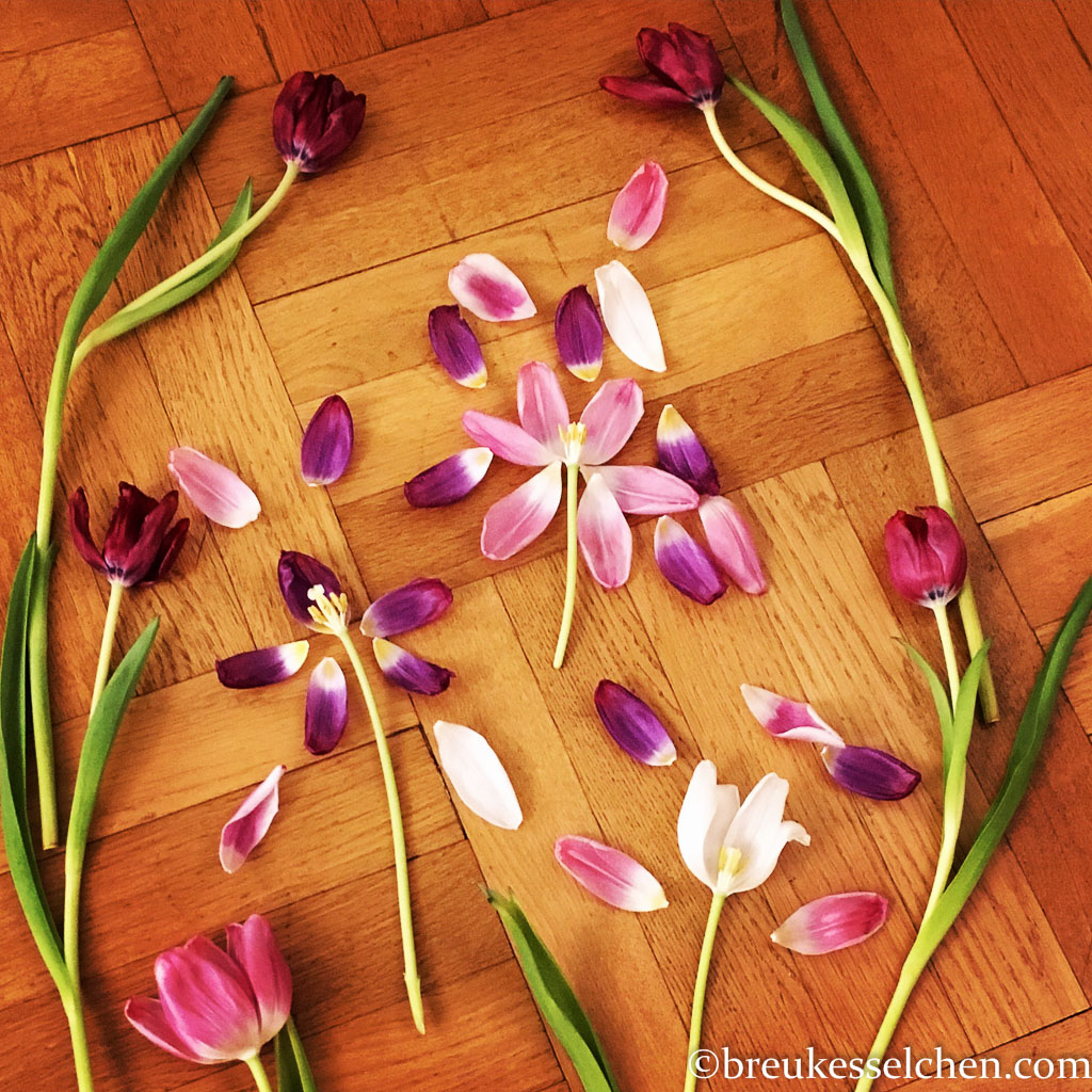 Flowerpowerfebruar_Germaninteriorblogger_Blumen_Lächeln (95)