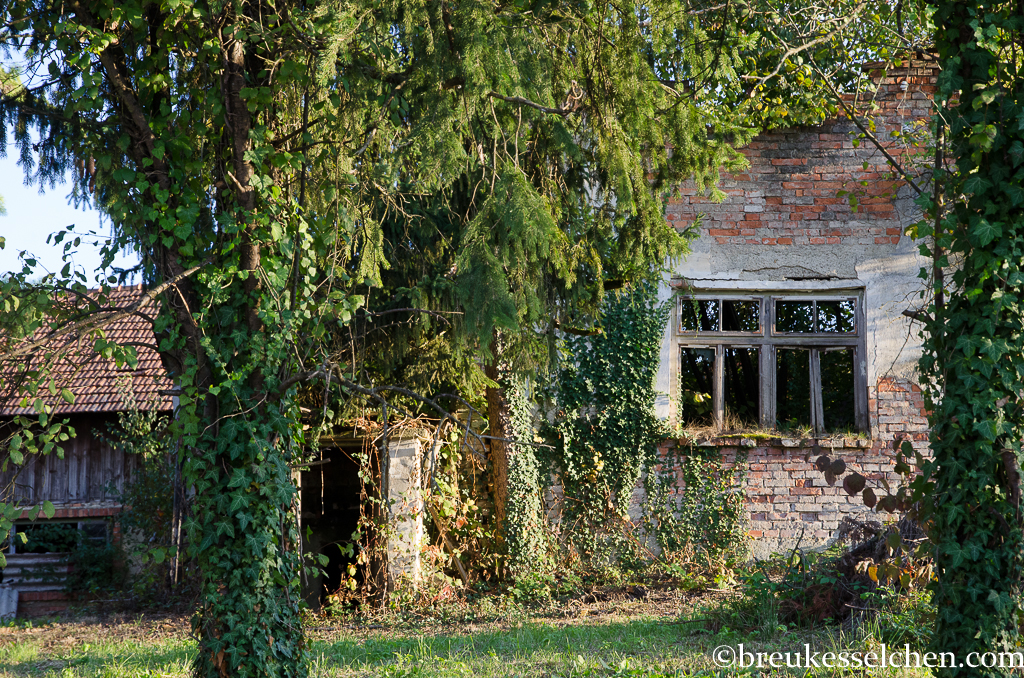 Urige alte Häuser gibt es hier viele.