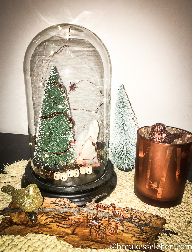 2.DIY Deko mit Glasglocke und Lichterkette (6)