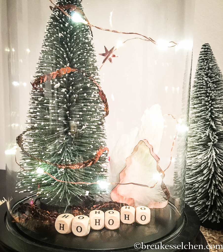 2.DIY Deko mit Glasglocke und Lichterkette (8)